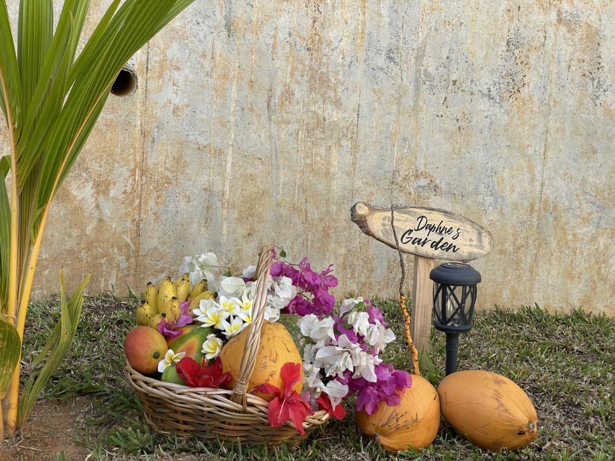 B Holiday Apartments Beau Vallon  Exterior foto